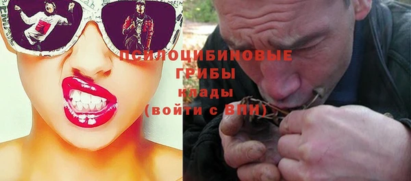 прущие грибы Баксан