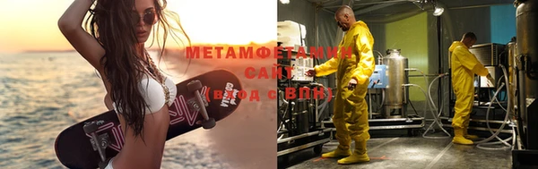 прущие грибы Баксан