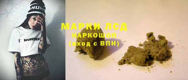 прущие грибы Баксан