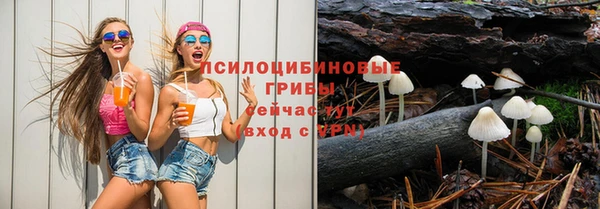 ГАЛЛЮЦИНОГЕННЫЕ ГРИБЫ Балахна