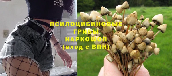 ГАЛЛЮЦИНОГЕННЫЕ ГРИБЫ Балахна